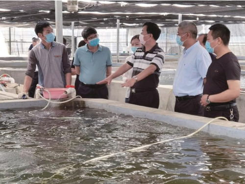 湖北省特殊之年 水產大省的特殊答卷及會議展覽服務