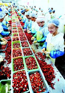 農產品加工業成荊州支柱 湖北農產品加工業突破萬億