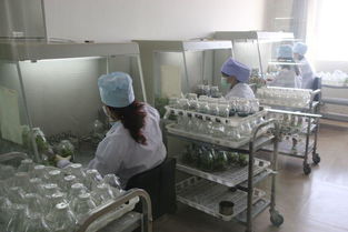 駐馬店地區(qū)考察團(tuán)對(duì)西夏王葡萄酒產(chǎn)品質(zhì)量和市場營銷給予了高度評(píng)價(jià)