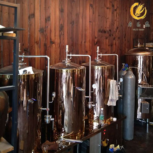 摩樂森告訴你如何選適合自已的精釀啤酒設(shè)備